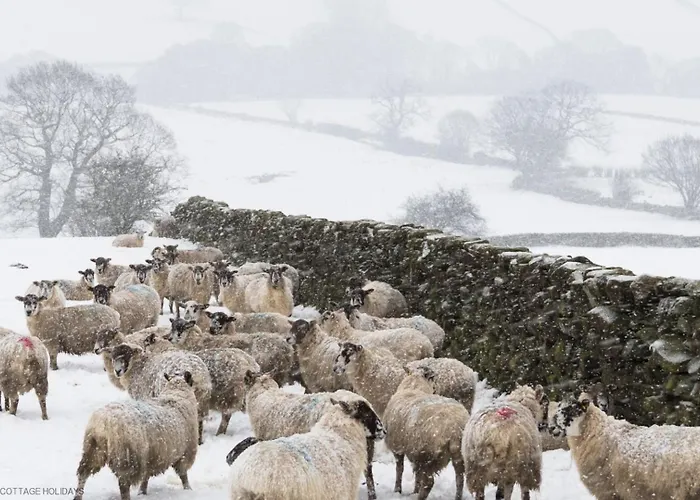 Grange Σπίτι διακοπών Γιορκ